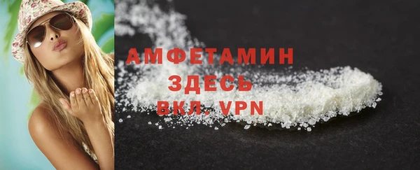 крисы Абаза