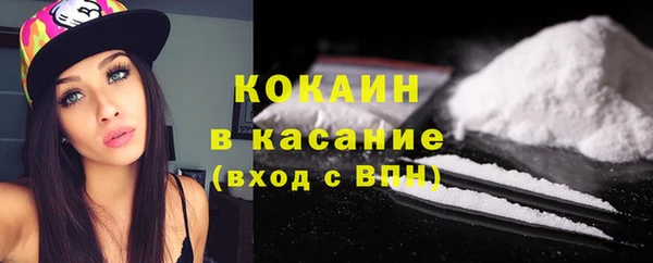 круглые Гусев