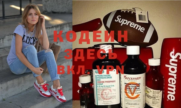 крисы Абаза
