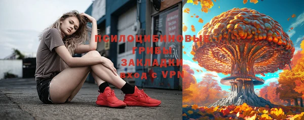 гашик Кукмор