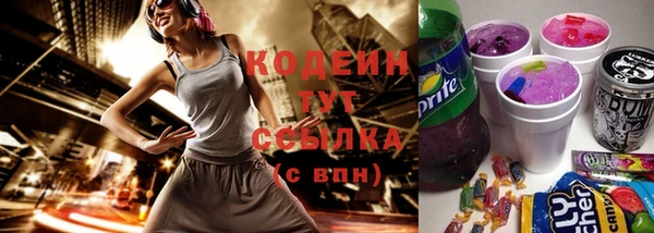крисы Абаза