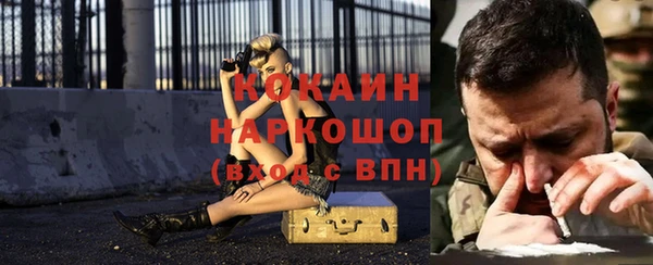 крисы Абаза