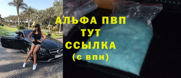 крисы Абаза