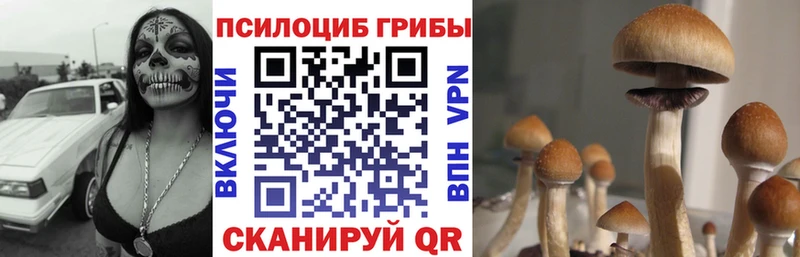 наркота  Новотитаровская  Псилоцибиновые грибы мухоморы 